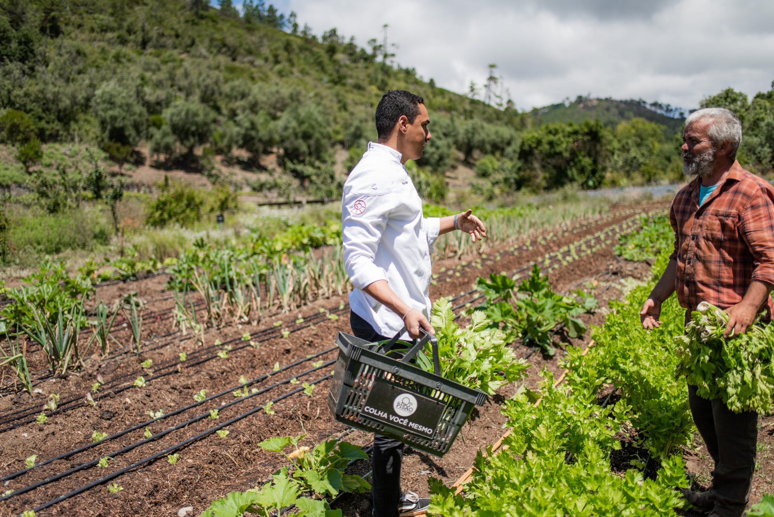 Local Vegetables